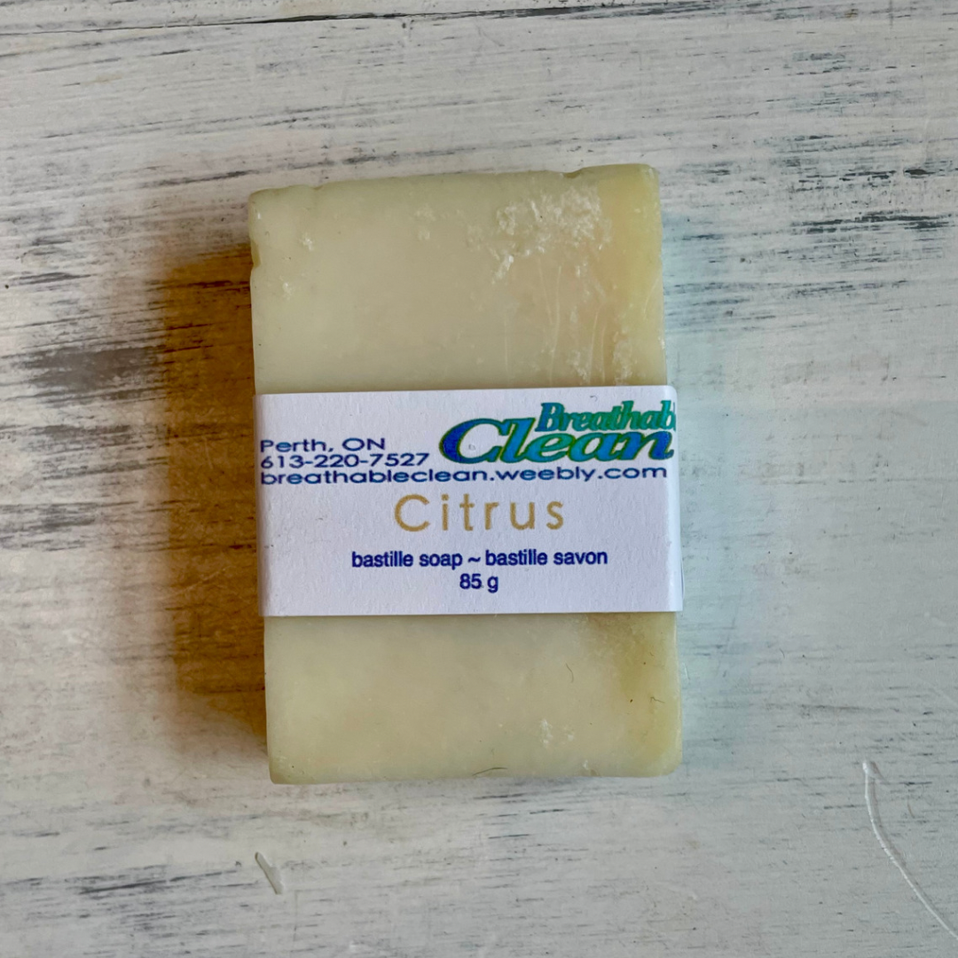 Bastille Soap Bar