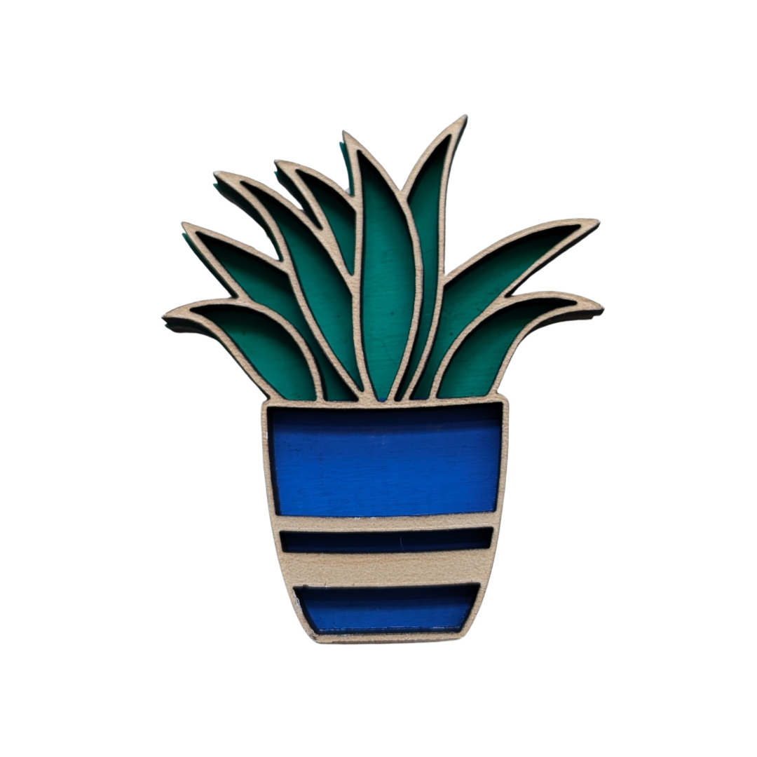 Succulent Magnet