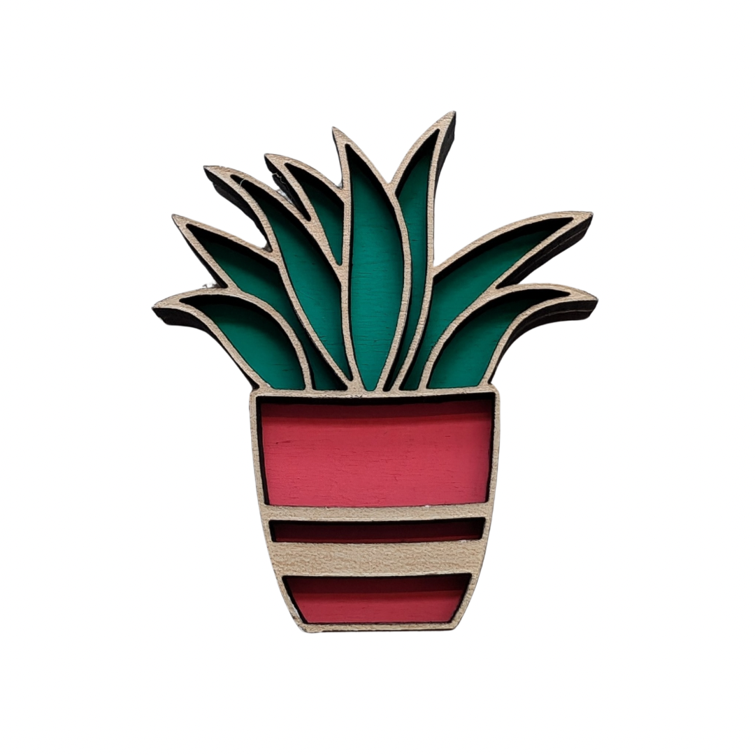 Succulent Magnet