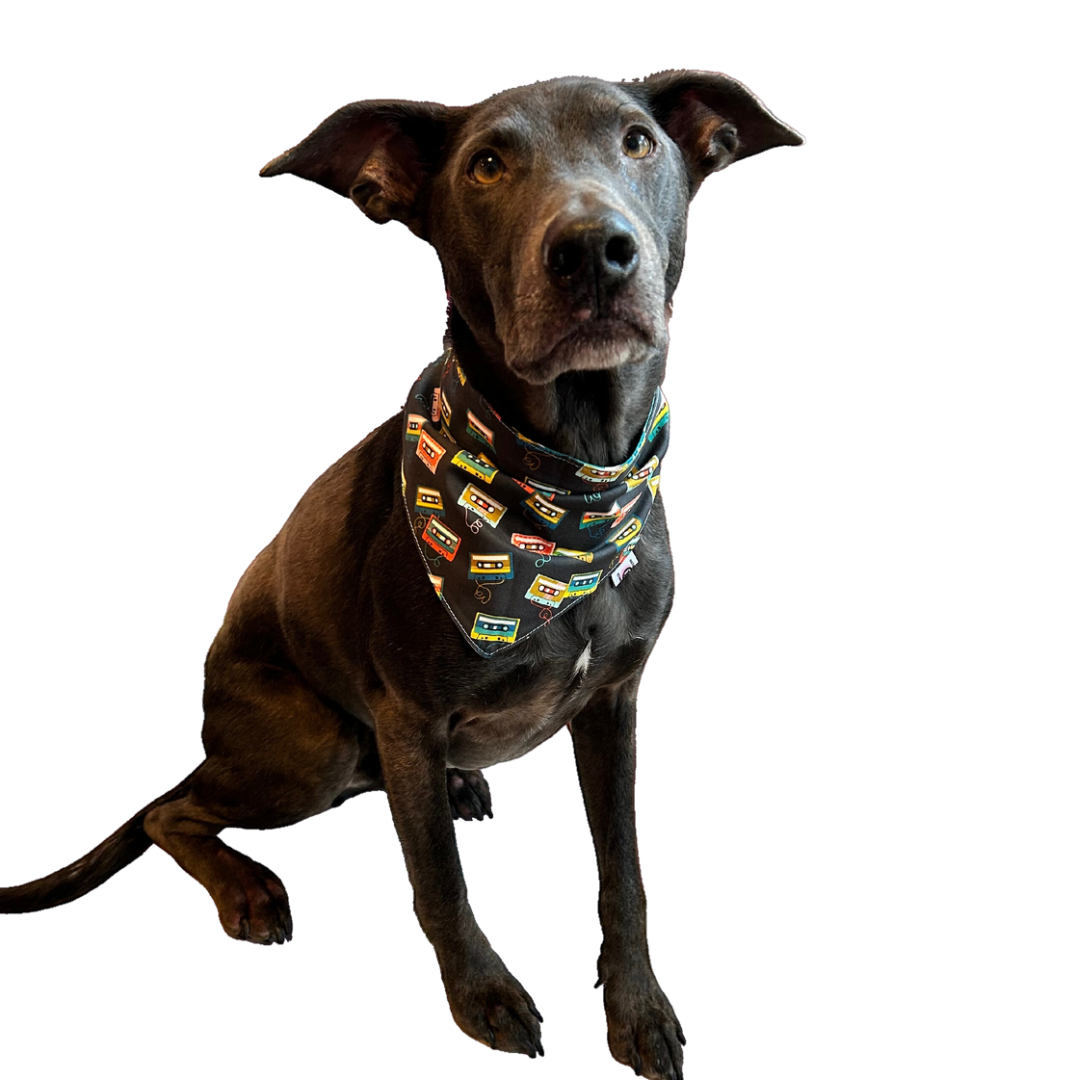 Charity Dog Bandana