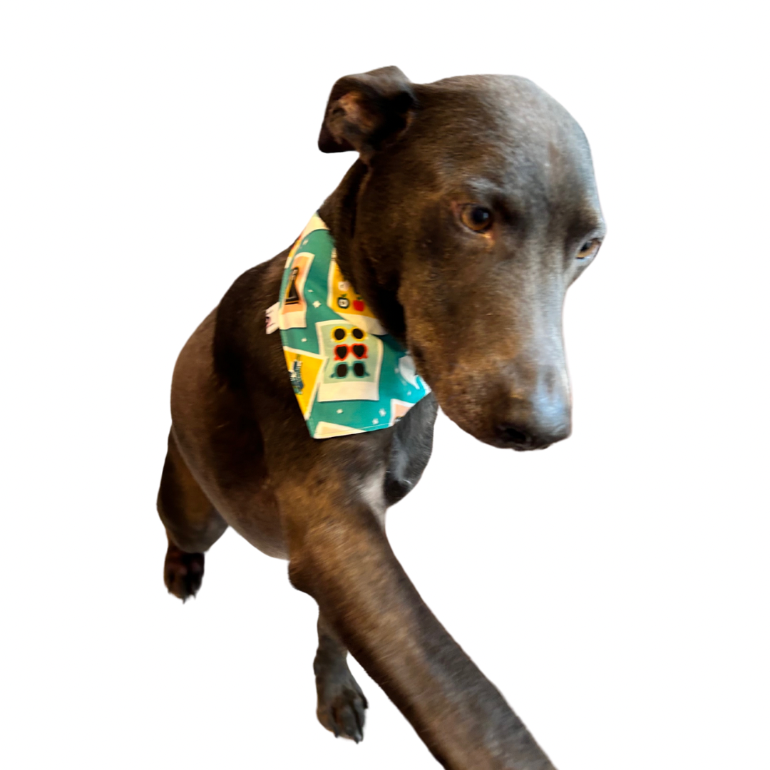 Charity Dog Bandana