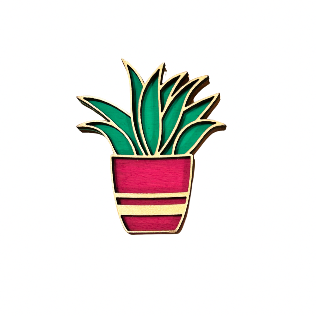 Succulent Magnet