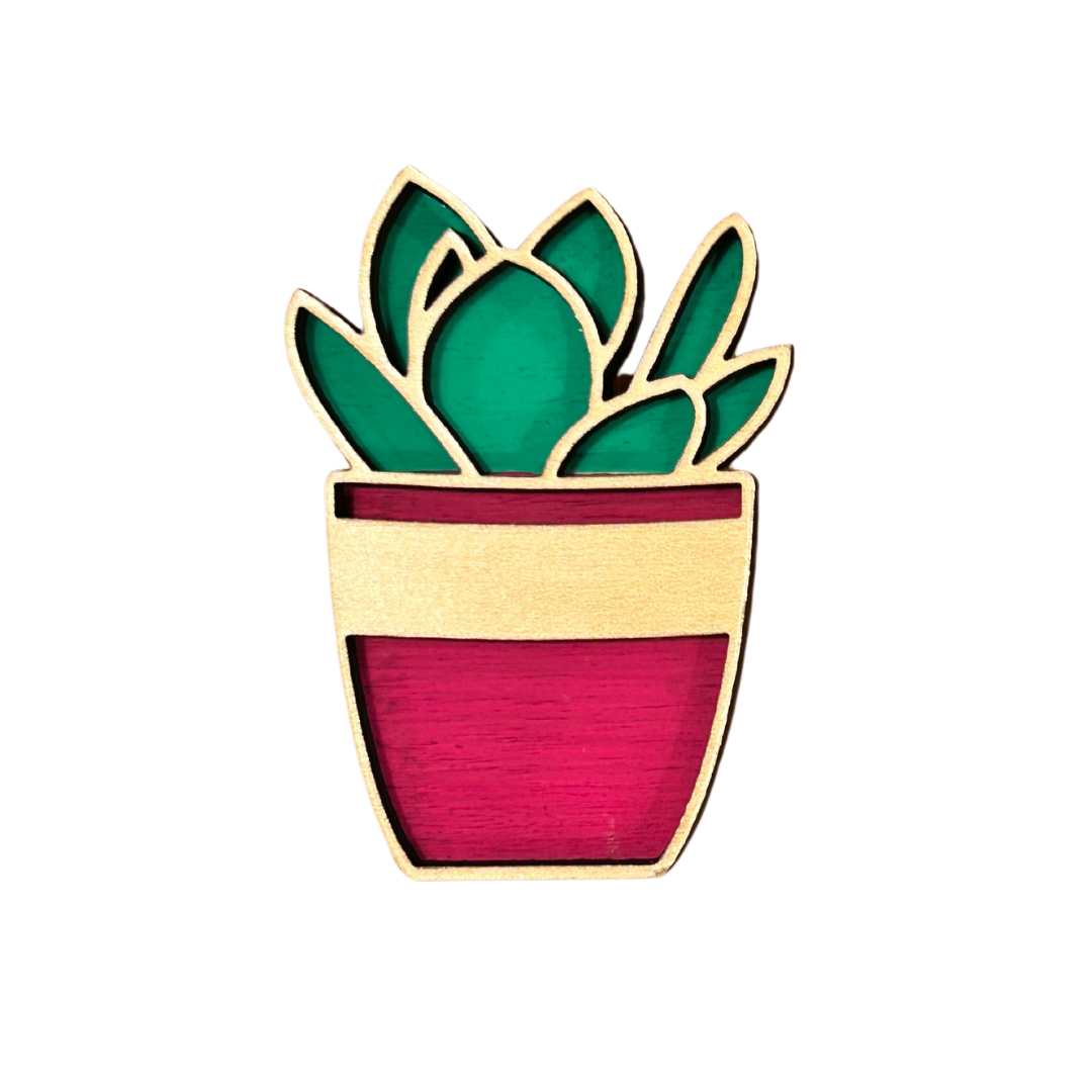 Succulent Magnet
