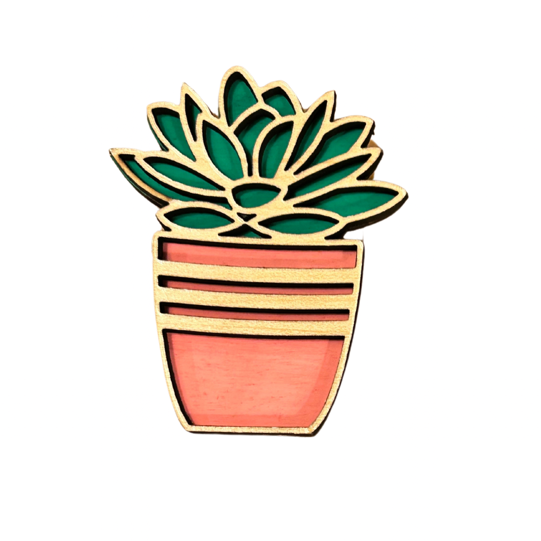 Succulent Magnet