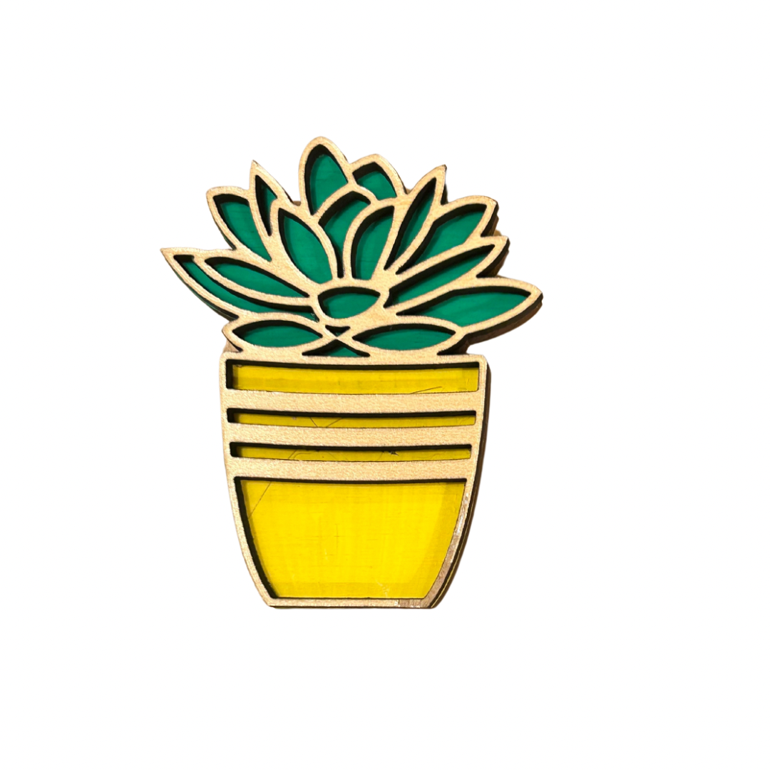 Succulent Magnet