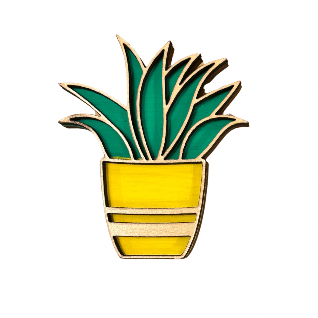 Succulent Magnet