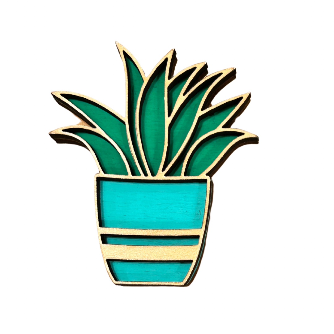 Succulent Magnet