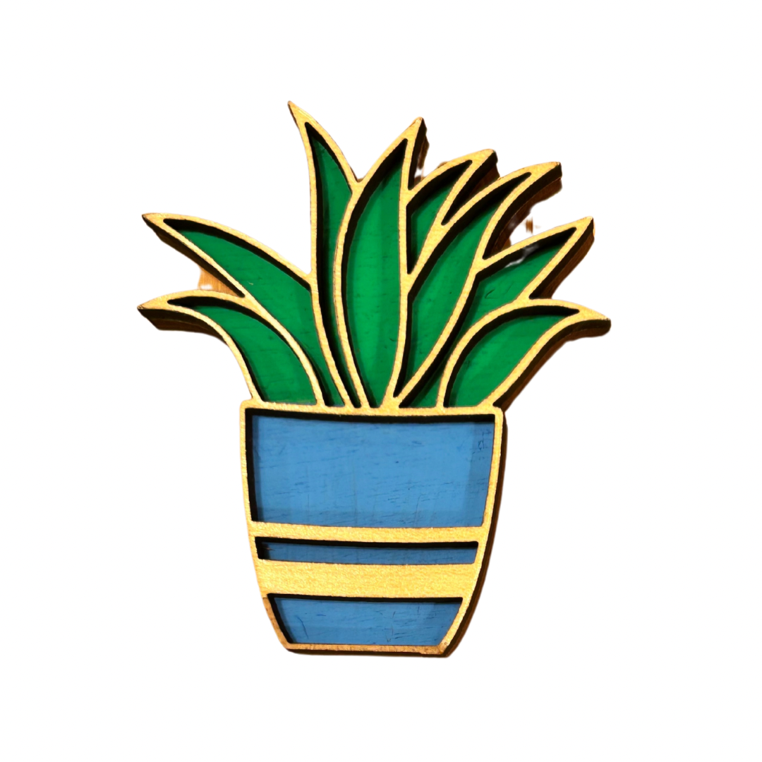 Succulent Magnet