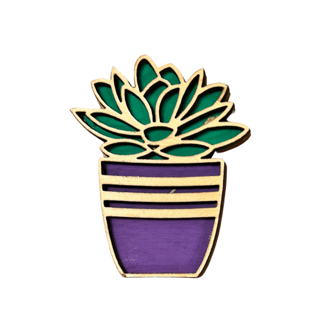 Succulent Magnet