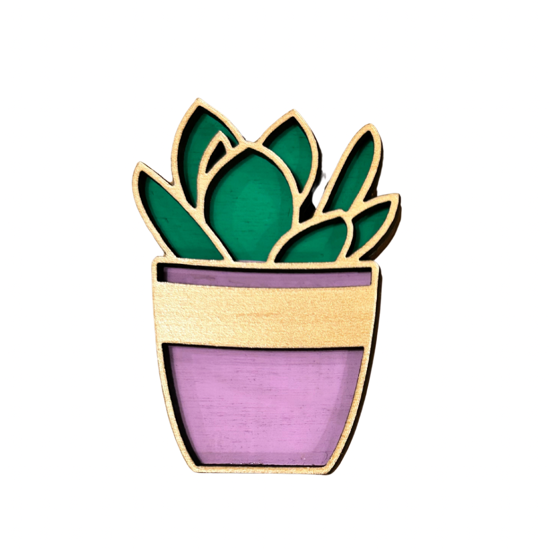 Succulent Magnet