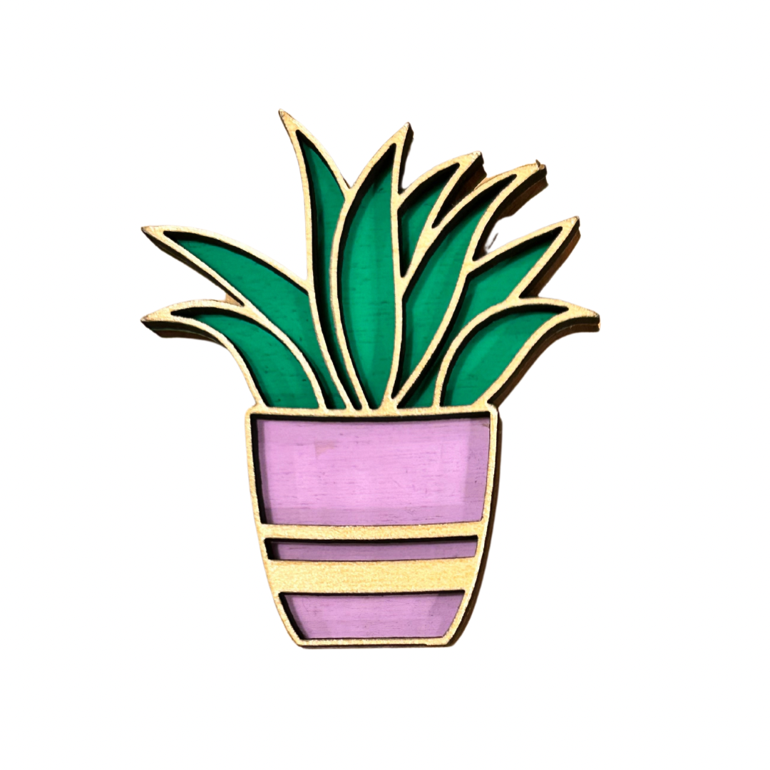 Succulent Magnet