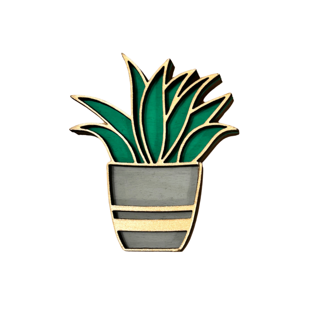 Succulent Magnet