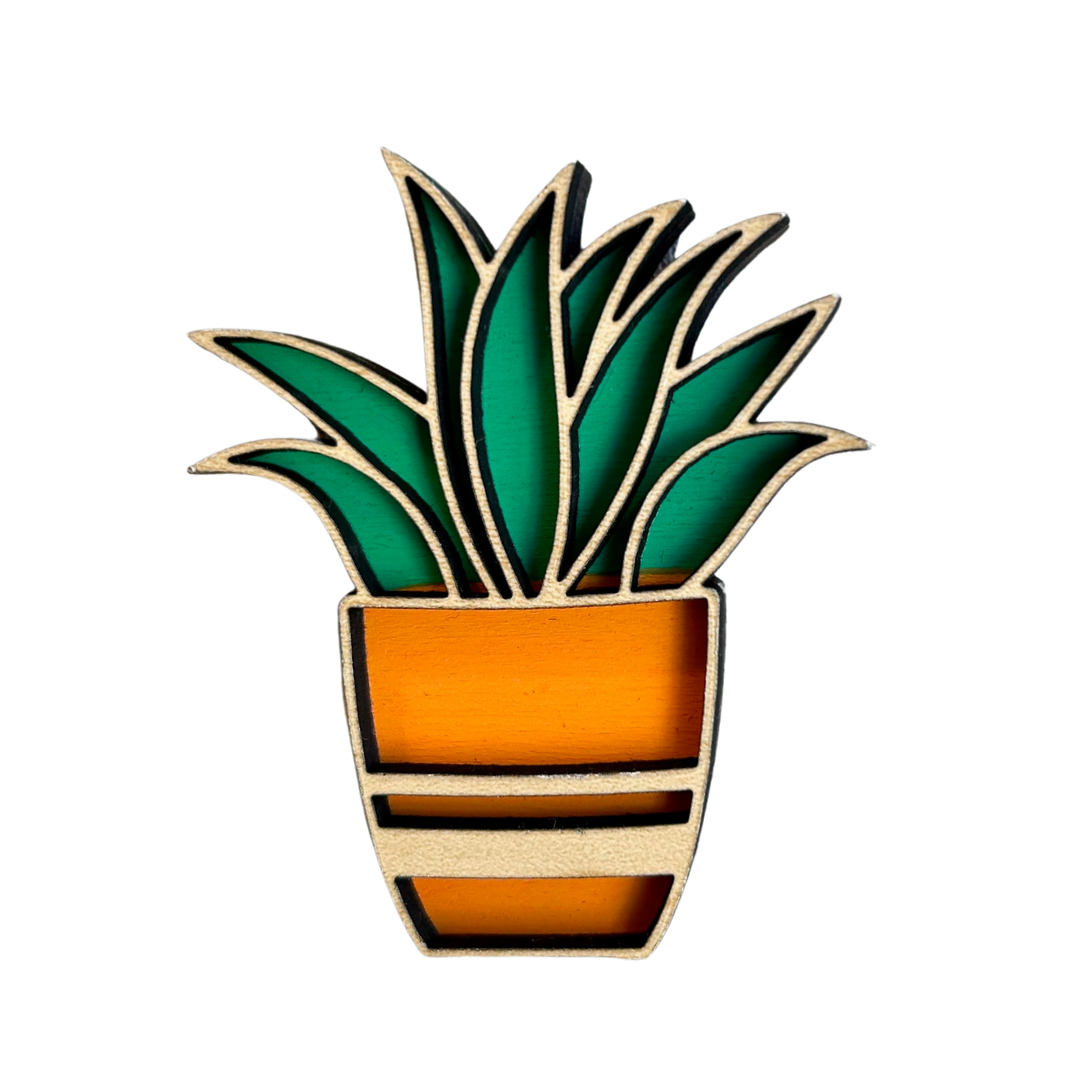 Succulent Magnet