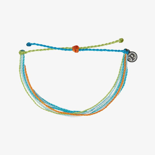 Charity Save The Coral Reefs