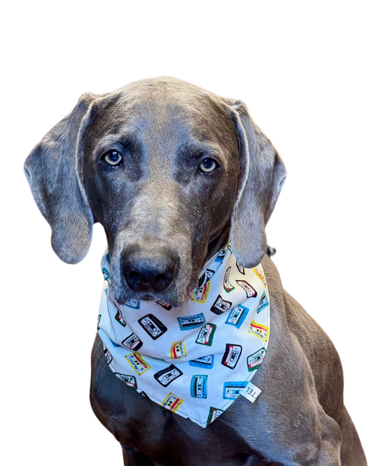 Mottel Charity Dog Bandana